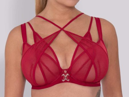 Black Magic Plunge Red Bra Online Hot Sale