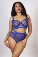 Gabi Fresh Harper Mesh Cut Out Bra Blue B - K Sale