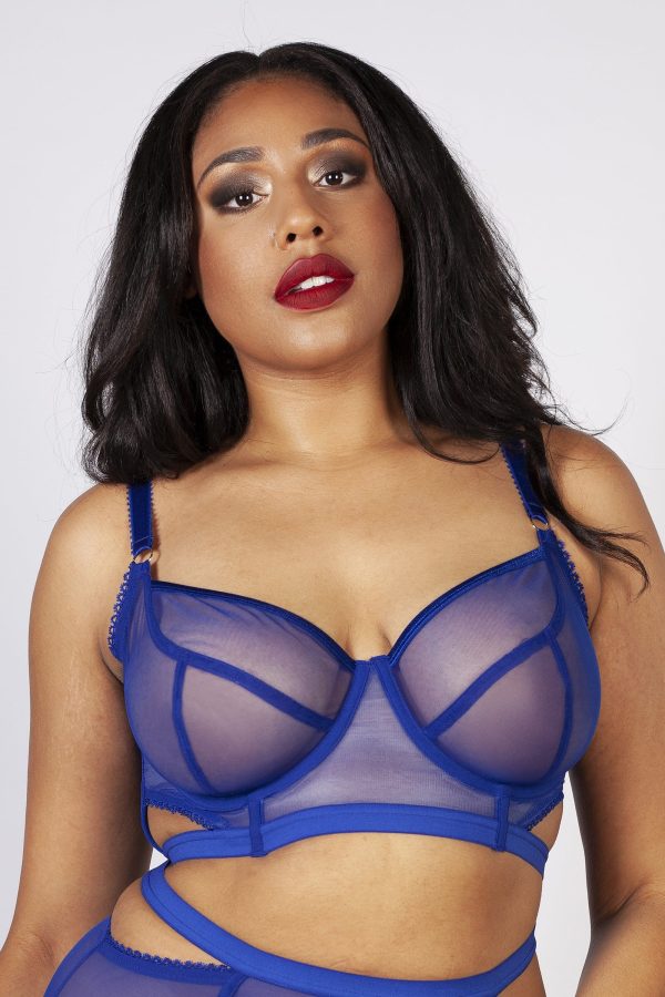 Gabi Fresh Harper Mesh Cut Out Bra Blue B - K Sale