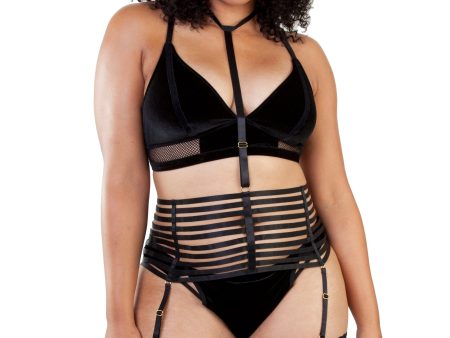 Morgan Harness Online now