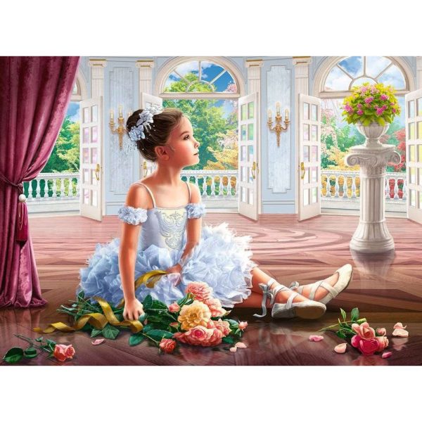 500pc Sunday Ballet For Sale