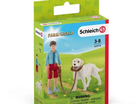 Walking with Labrador  Retriever Discount