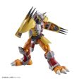 Figurerise Standard WARGREYMON For Discount