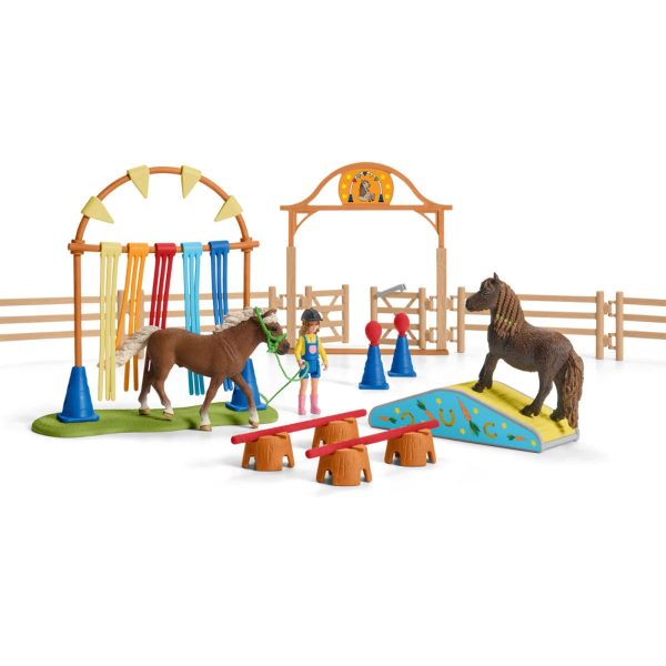 Pony Agility Training Online now