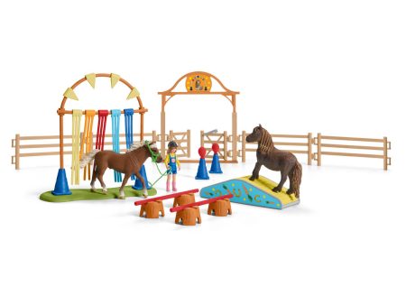 Pony Agility Training Online now