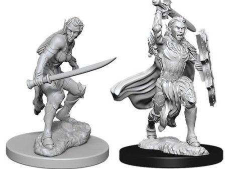 D&D Nolzurs Marvelous Unpainted Miniatures: Female Elf Fighter For Cheap