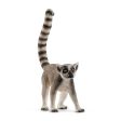 Ringtailed lemur Sale