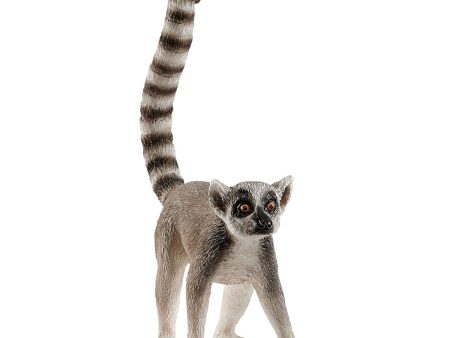 Ringtailed lemur Sale