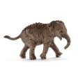 Asian Elephant Calf Online