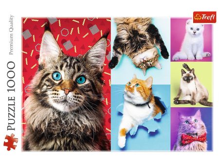 1000pc Happy Cats Online Hot Sale