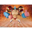 FZ Iron Man Franky Online now