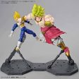 Figurerise Standard LEGENDARY SUPER SAIYAN BROLY PKG renewal Discount