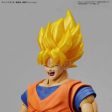 Figurerise Standard LEGENDARY SUPER SAIYAN BROLY PKG renewal Discount