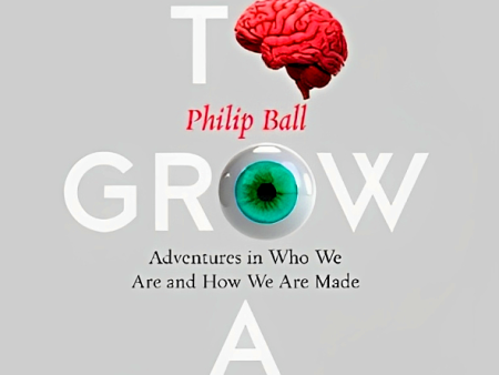 How To Grow A Human: Adventures In Who We Are And How We Are Made Cheap