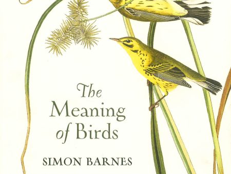 The Meaning Of Birds on Sale